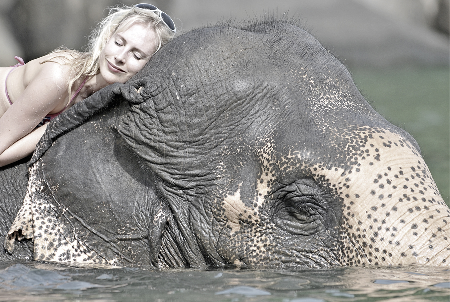 Elischeba schlafen auf Elefant